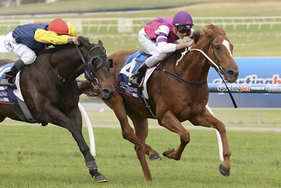 ONPICALO-METROPOLITAN WIN NO 5!.